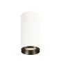 SLV Numinos Phase M Spot Aluminium White 20.1W 1955lm 24D - 930 Warm White | Best Colour Rendering - Dimmable 